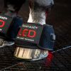 Cloche cheval thérapeutique LED Luminothérapie Mini Wrap - Horseware