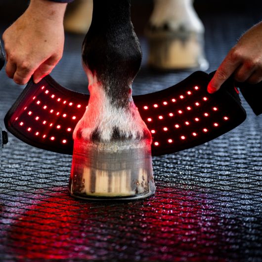 Cloche cheval thérapeutique LED Luminothérapie Mini Wrap - Horseware