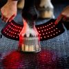 Cloche cheval thérapeutique LED Luminothérapie Mini Wrap - Horseware