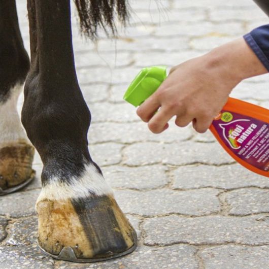 Nettoyant pelage express shampoing sec cheval 500 ml - Equinatura