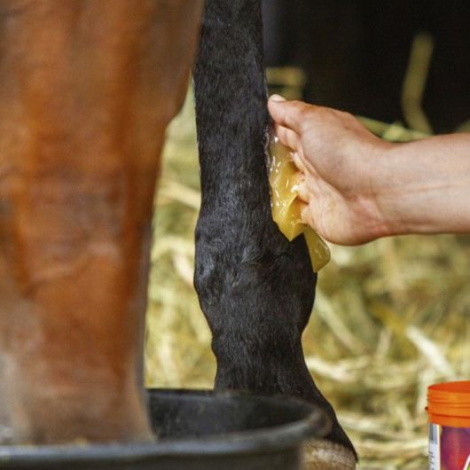 Gel réfrigérant cheval 600 ml - Equinatura 