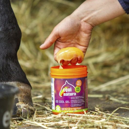 Gel réfrigérant cheval 600 ml - Equinatura 