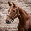 Licol nylon cheval Atheltic - Waldhausen 
