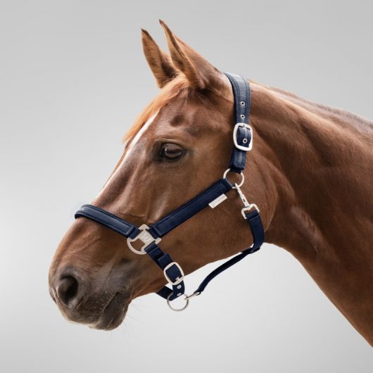 Licol nylon cheval Atheltic - Waldhausen Licol nylon cheval Atheltic - Waldhausen