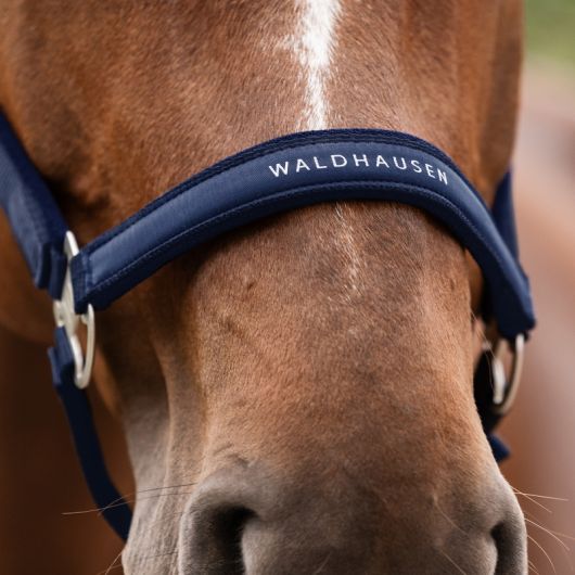 Licol nylon cheval Atheltic - Waldhausen 