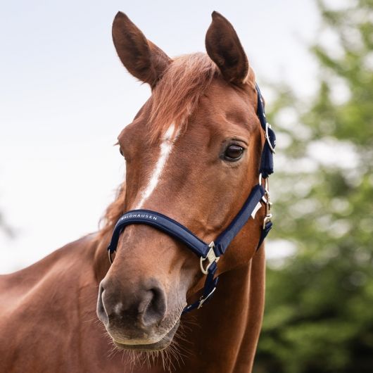 Licol nylon cheval Atheltic - Waldhausen 