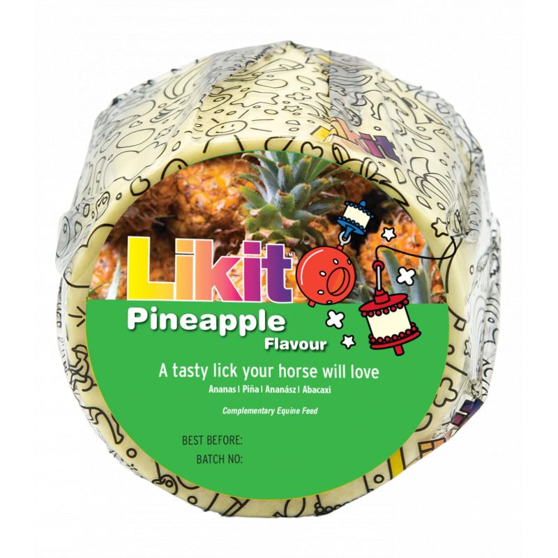 Recharge pierre 650 g - Likit