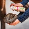 Spray soin fourchette chevaux 150 ml - Bense & Eicke