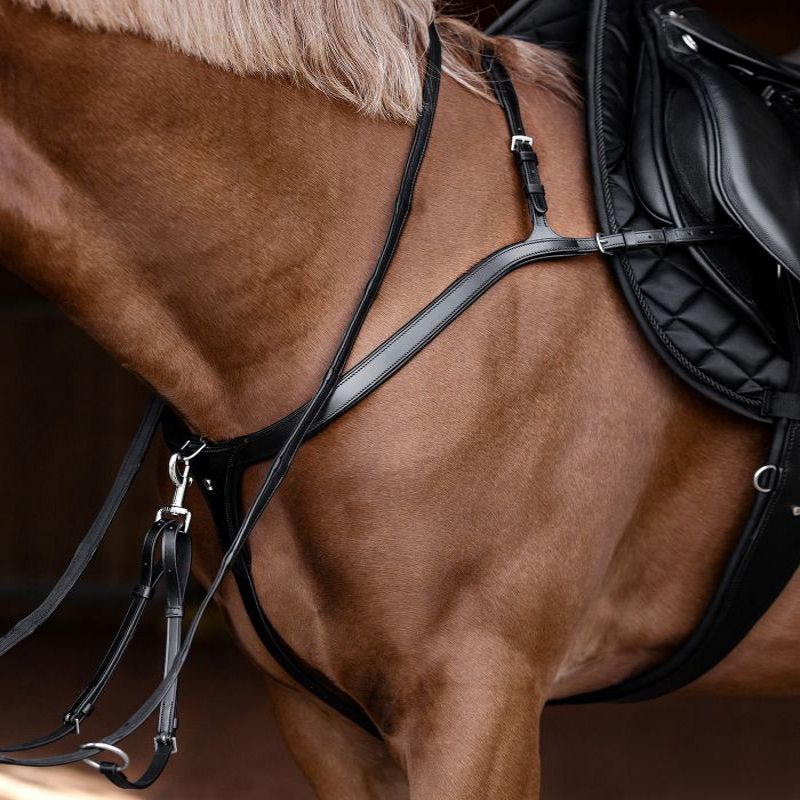 Collier de chasse cheval à pont - Waldhausen