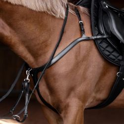Collier de chasse cheval à pont - Waldhausen