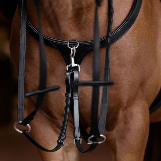 Collier de chasse cheval à pont - Waldhausen