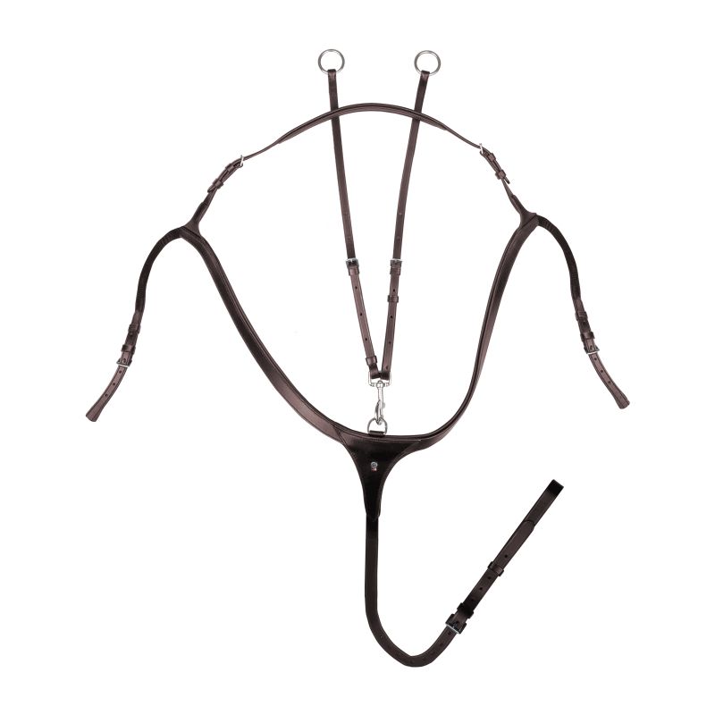 Collier de chasse cheval à pont - Waldhausen