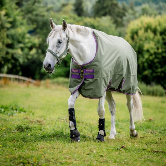 Couverture extérieur cheval avec couvre cou 0g Amigo Hero Ripstop Plus - Horseware