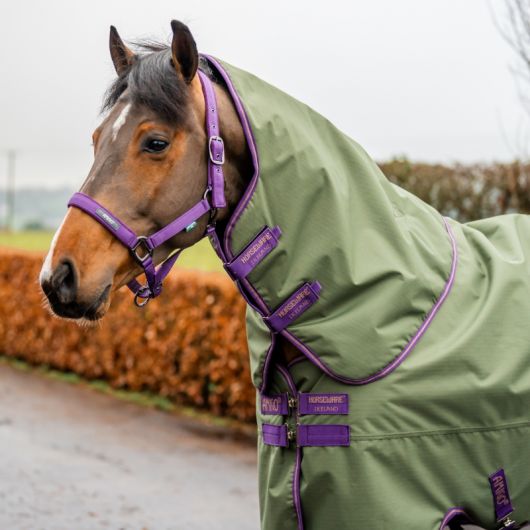 Couverture extérieur cheval Amigo Hero Ripstop Lite 0g - Horseware