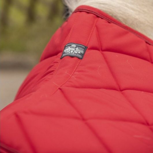 Tapis de selle shetland Prem's - Paddock Sport