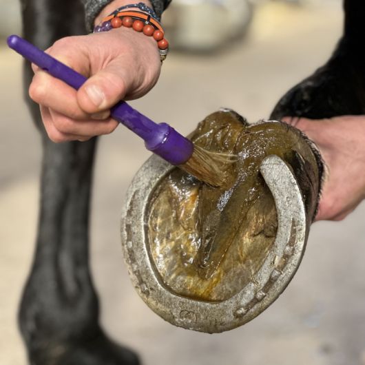 Huile de cade cheval 40% - Nutragile