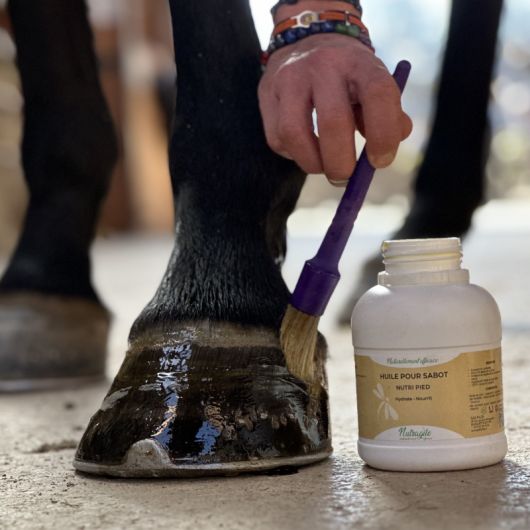 Huile sabot cheval hydratante et nourrissante Nutri Pied - Nutragile 