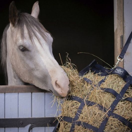 Sac à foin cheval - Paddock Sports 