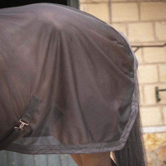 Chemise séchante cheval Mesh - Paddock Sports 