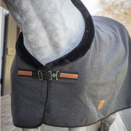 Chemise de présentation cheval Wooltouch - Paddock Sports 