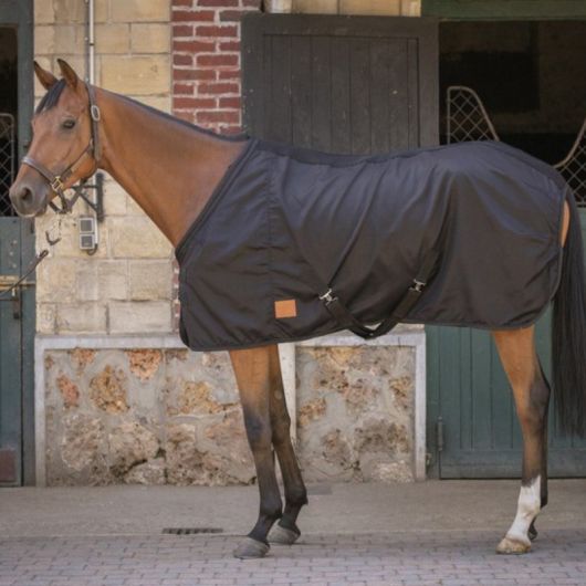 Chemise écurie cheval Light Mesh - Paddock Sports 