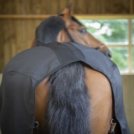 Chemise écurie cheval Light Mesh - Paddock Sports 