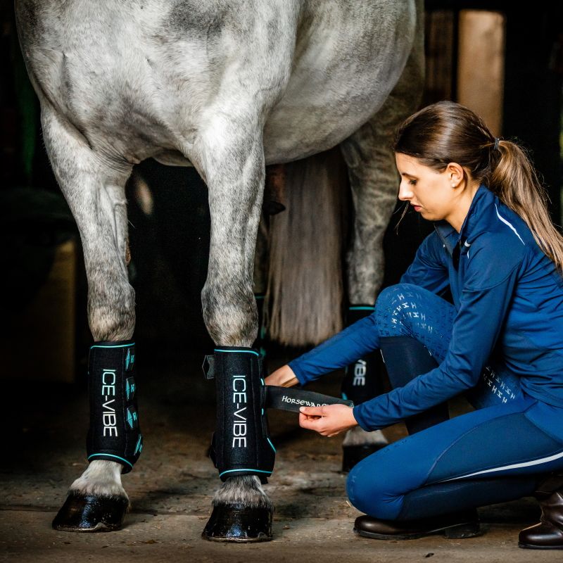 Guêtres thérapeutiques cheval Ice Vibes 2.0 - Horseware