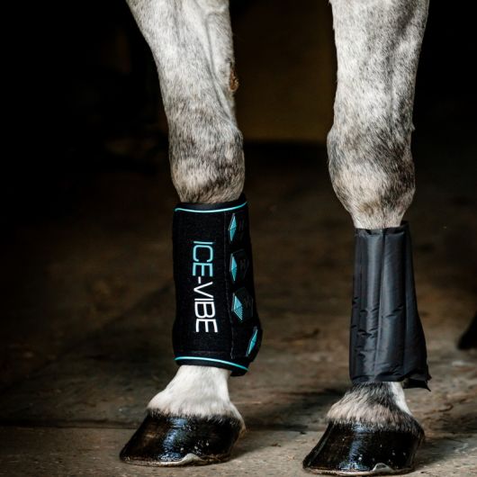 Guêtres thérapeutiques cheval Ice Vibes 2.0 - Horseware