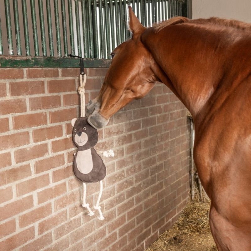 Jouet de box cheval