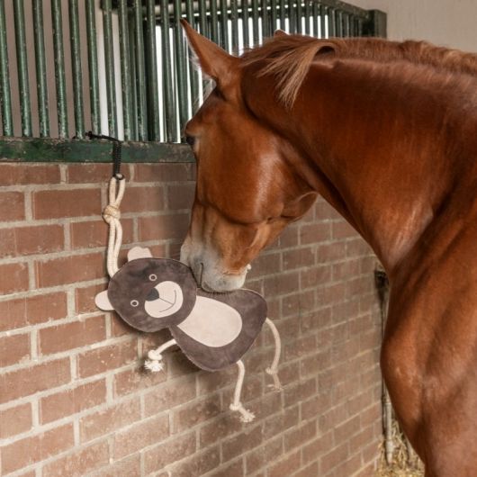Jouet de box cheval