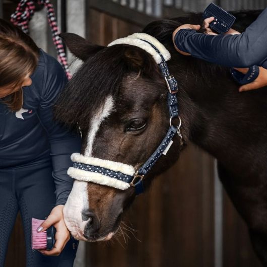 Licol et longe Poney Lucky - Waldhausen 