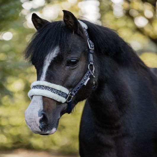 Licol et longe Poney Lucky - Waldhausen 