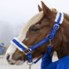 Licol et Longe cheval Teschic Adèle Devaillant - Harcour