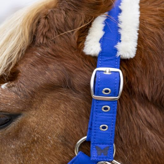 Licol et Longe cheval Teschic Adèle Devaillant - Harcour