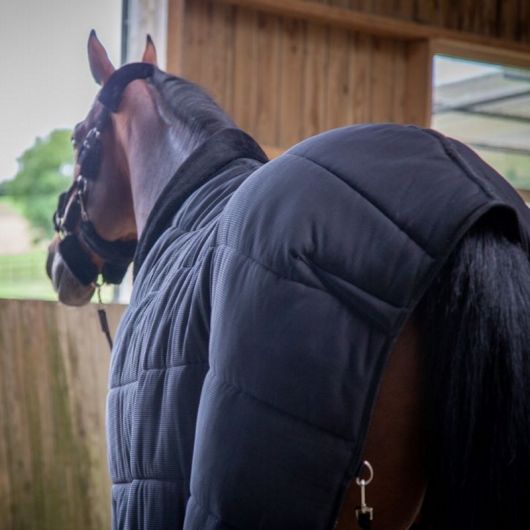 Sous couverture cheval 200g Underblanket - Paddock Sports