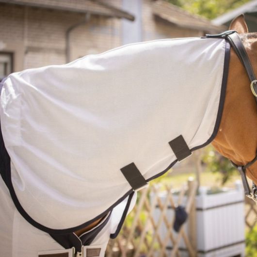 Chemise cheval UV Mesh Combo Paddock Sports