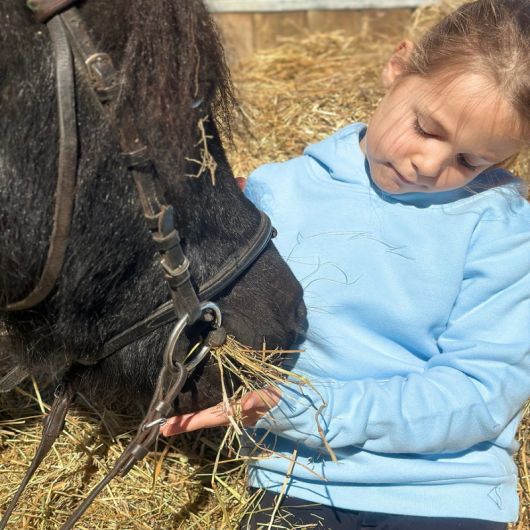 Sweat à capuche équitation enfant - Kevin Staut Collection