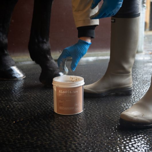 Hoof Clay - Argile sabot cheval - Alodis Care