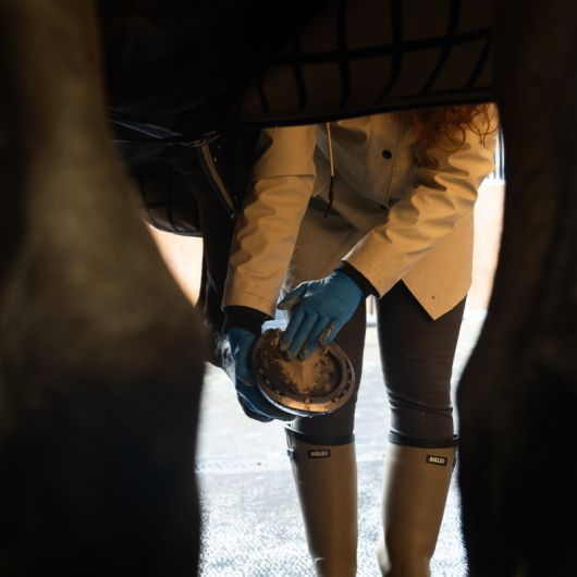 Hoof Clay - Argile sabot cheval - Alodis Care