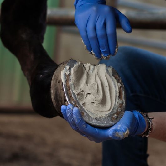 Hoof Clay - Argile sabot cheval - Alodis Care