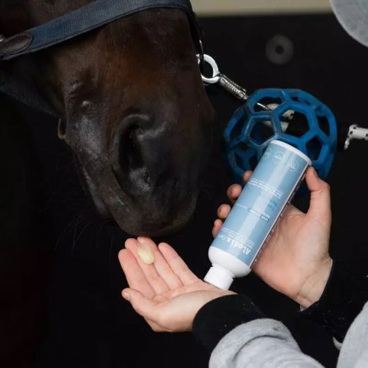 Vaso Respire gel respiratoire cheval - Alodis Care