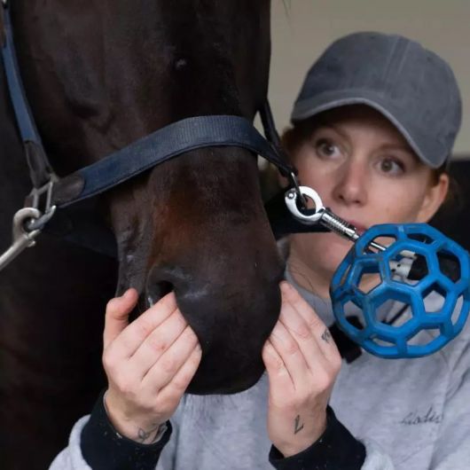 Vaso Respire gel respiratoire cheval - Alodis Care