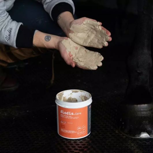 Tendi Flash - Argile de récupération sportive cheval - Alodis Care
