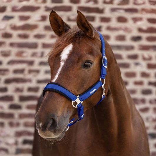 Licol cheval Breath - Waldhausen