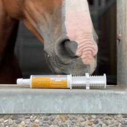 Red Booster Flash seringue - Recupération cheval - LPC