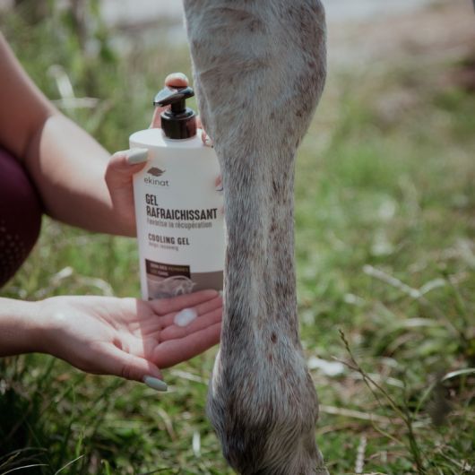 Gel rafraichissant cheval bio - Ekinat