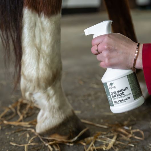 Lotion détachante sans rinçage cheval bio - Ekinat