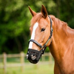 Panier muselière cheval anti-fourbure