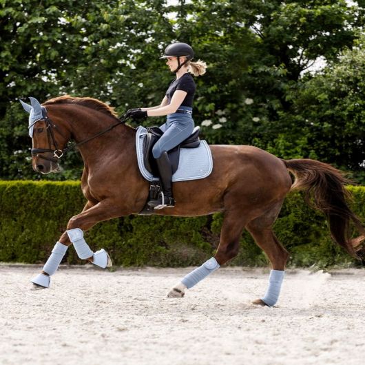 Tapis de selle cheval Rom - Waldhausen