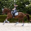 Tapis de selle cheval Rom - Waldhausen